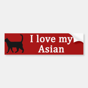 Aziatische Liefde Bumpersticker