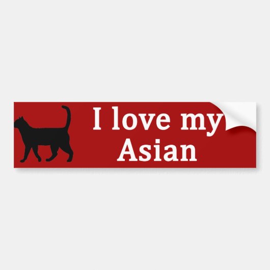 Aziatische Liefde Bumpersticker (Voorkant)