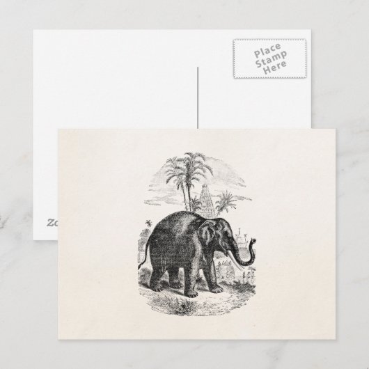  Aziatische olifant - Aangepaste olifanten Briefkaart (Voorkant / Achterkant)