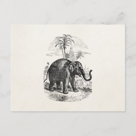 Aziatische olifant - Aangepaste olifanten Briefkaart (Voorkant)