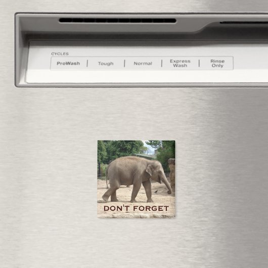 Aziatische olifant Bewaar de datum magneet (Insitu (Vaatwasser))