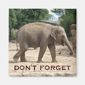 Aziatische olifant Bewaar de datum magneet (Voorkant)