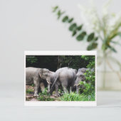 Aziatische olifant briefkaart (Staand voorkant)