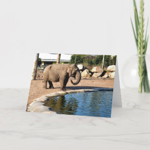 Aziatische olifant feestdagen kaart