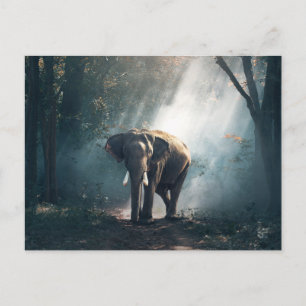 Aziatische olifant in een Sunlit Forest Clearing Briefkaart