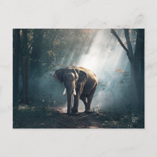Aziatische olifant in een Sunlit Forest Clearing Briefkaart (Voorkant)