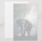 Aziatische olifant in een Sunlit Forest Clearing Briefpapier (Voorkant / Achterkant)