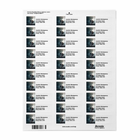 Aziatische olifant in een Sunlit Forest Clearing Etiket (Full Sheet)