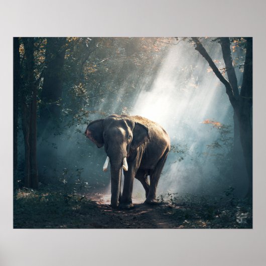 Aziatische olifant in een Sunlit Forest Clearing Poster (Voorkant)