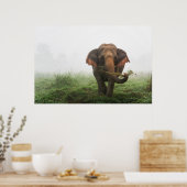 Aziatische olifant in Thailand Poster (Keuken)