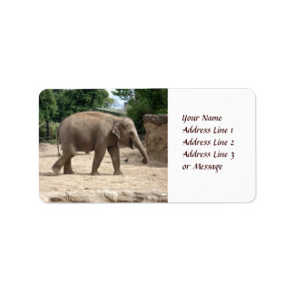 Aziatische olifant lopen op zand lijm label