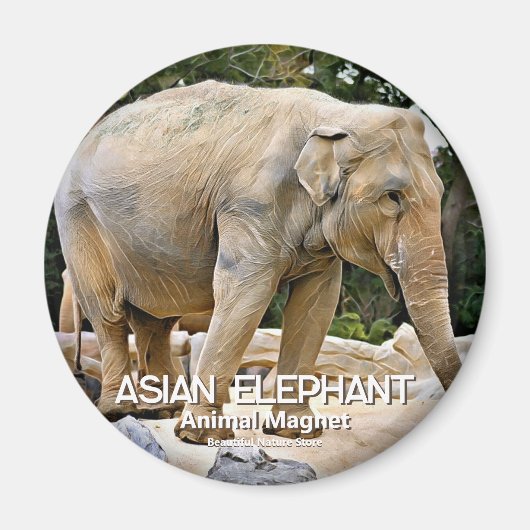 Aziatische olifant magneet (Voorkant)
