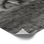 Aziatische olifant Poster afdrukken (Hoek)