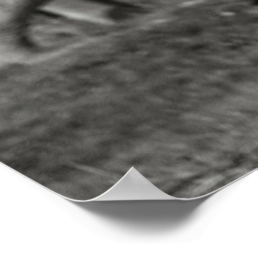 Aziatische olifant Poster afdrukken (Hoek)