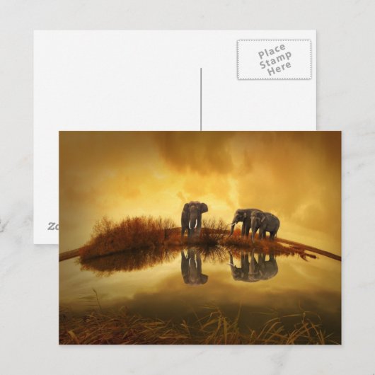 Aziatische olifanten briefkaart (Voorkant / Achterkant)