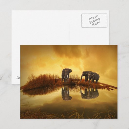 Aziatische olifanten in Thailand onder een gloeien Briefkaart (Voorkant / Achterkant)