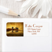 Aziatische olifanten in Thailand onder een gloeien Etiket (Insitu)