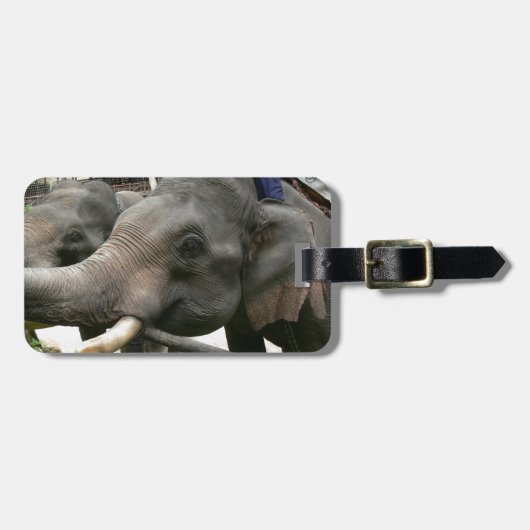 Aziatische olifanten in Thailand voeden! Bagagelabel (Voorkant horizontaal)