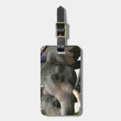 Aziatische olifanten in Thailand voeden! Bagagelabel (Voorkant verticaal)