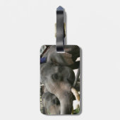 Aziatische olifanten in Thailand voeden! Bagagelabel (Achterkant verticaal)