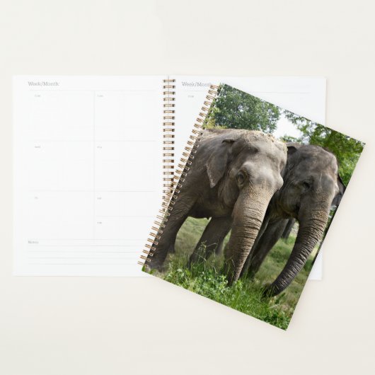 Aziatische olifanten Naast elkaar Planner (Display)