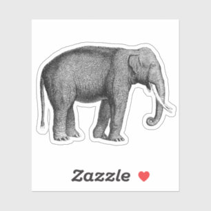 Aziatische olifanten Print Sticker