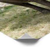 Aziatische olifanten zij aan zij poster (Hoek)