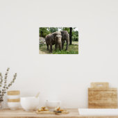 Aziatische olifanten zij aan zij poster (Keuken)