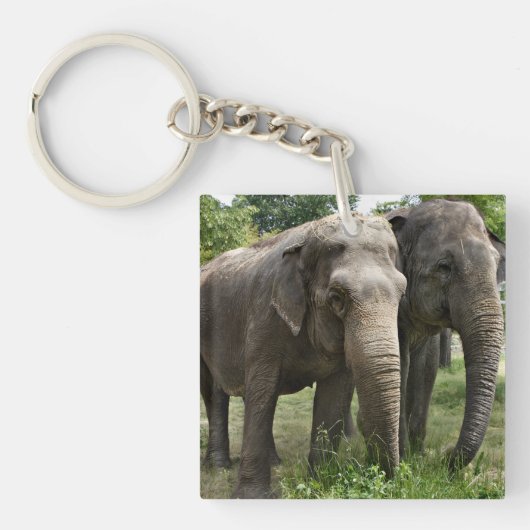 Aziatische olifanten zij aan zij sleutelhanger (Voorkant)