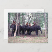 Aziatische olifantenBriefkaart Briefkaart (Voorkant / Achterkant)