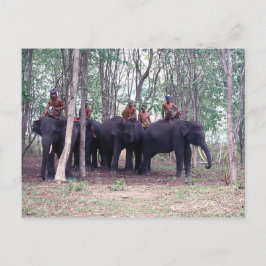 Aziatische olifantenBriefkaart Briefkaart