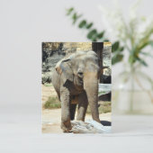 Aziatische olifantenfoto briefkaart (Staand voorkant)