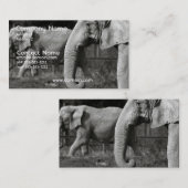 Aziatische olifantenVisitekaartje Visitekaartje (Voorkant / Achterkant)