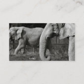 Aziatische olifantenVisitekaartje Visitekaartje (Achterkant)