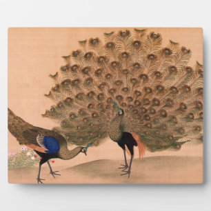  Aziatische packs Fotoplaat