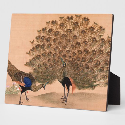  Aziatische packs Fotoplaat (Zijkant)