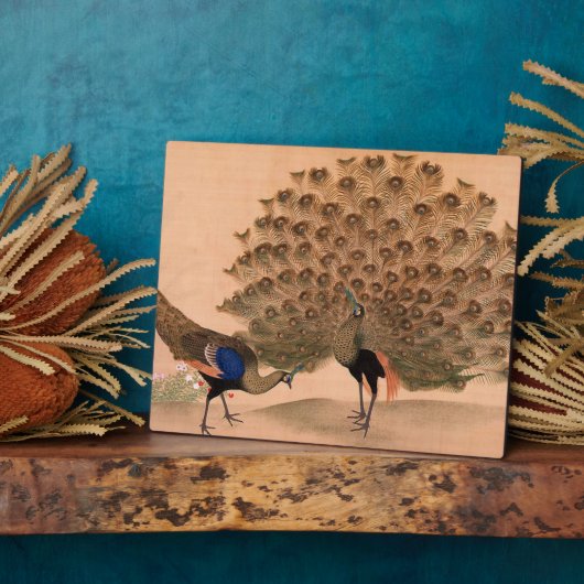  Aziatische packs Fotoplaat (Zijkant)