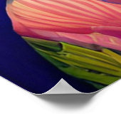 Aziatische prinses met groot blauw pet poster (Hoek)