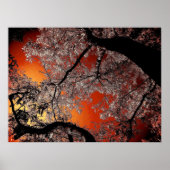 Aziatische skies poster (Voorkant)