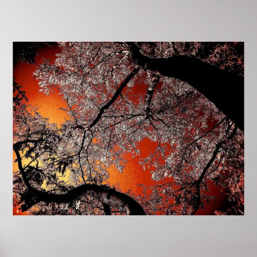 Aziatische skies poster (Voorkant)