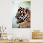 Aziatische tijger poster (Keuken)