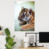 Aziatische tijger poster (Thuiskantoor)