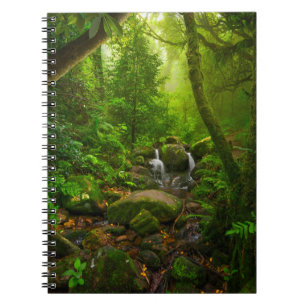 Aziatische tropische regenwouden, bos, milieu notitieboek