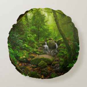 Aziatische tropische regenwouden, bos, milieu rond kussen