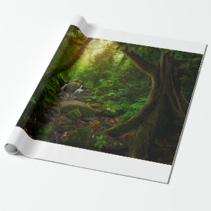 Aziatische tropische regenwouden, grond, amazon, a cadeaupapier