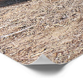 Aziatische waterbuffel poster (Hoek)