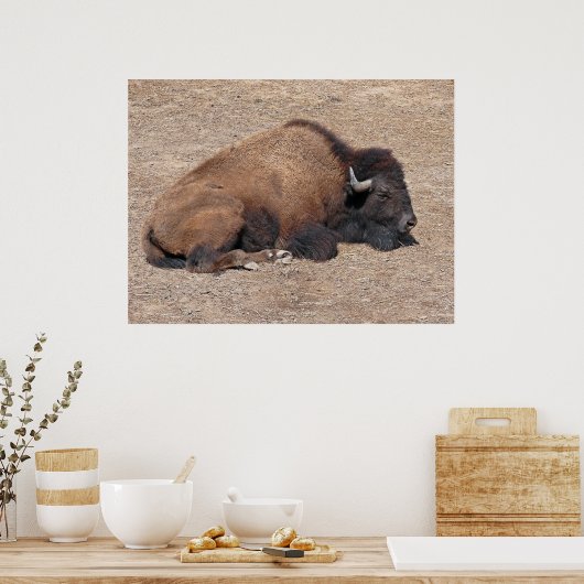 Aziatische waterbuffel poster (Keuken)