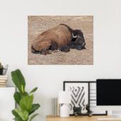 Aziatische waterbuffel poster (Thuiskantoor)