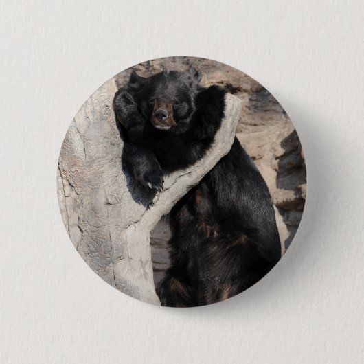 Aziatische zwarte Beer Ronde Button 5,7 Cm (Voorkant)