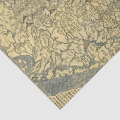 Azië 42 tissuepapier (Detail)